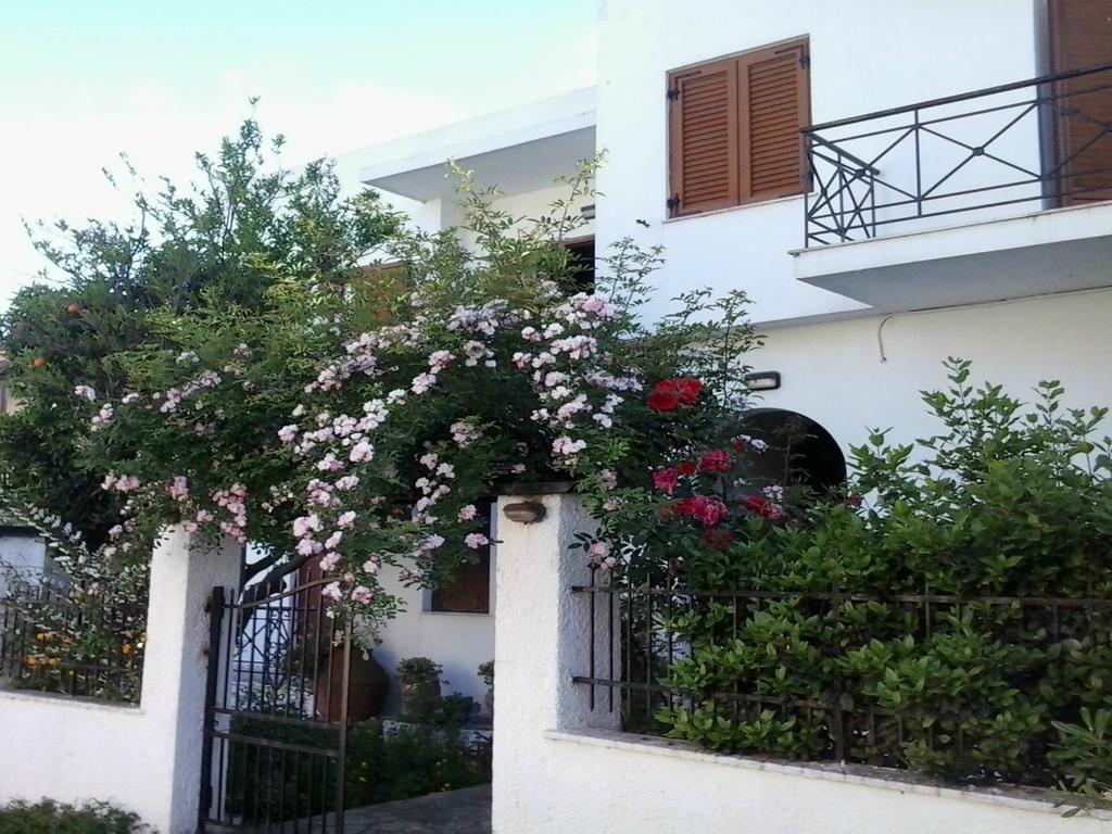 Karagiozos Studios & Apartments Skopelos stad Exteriör bild