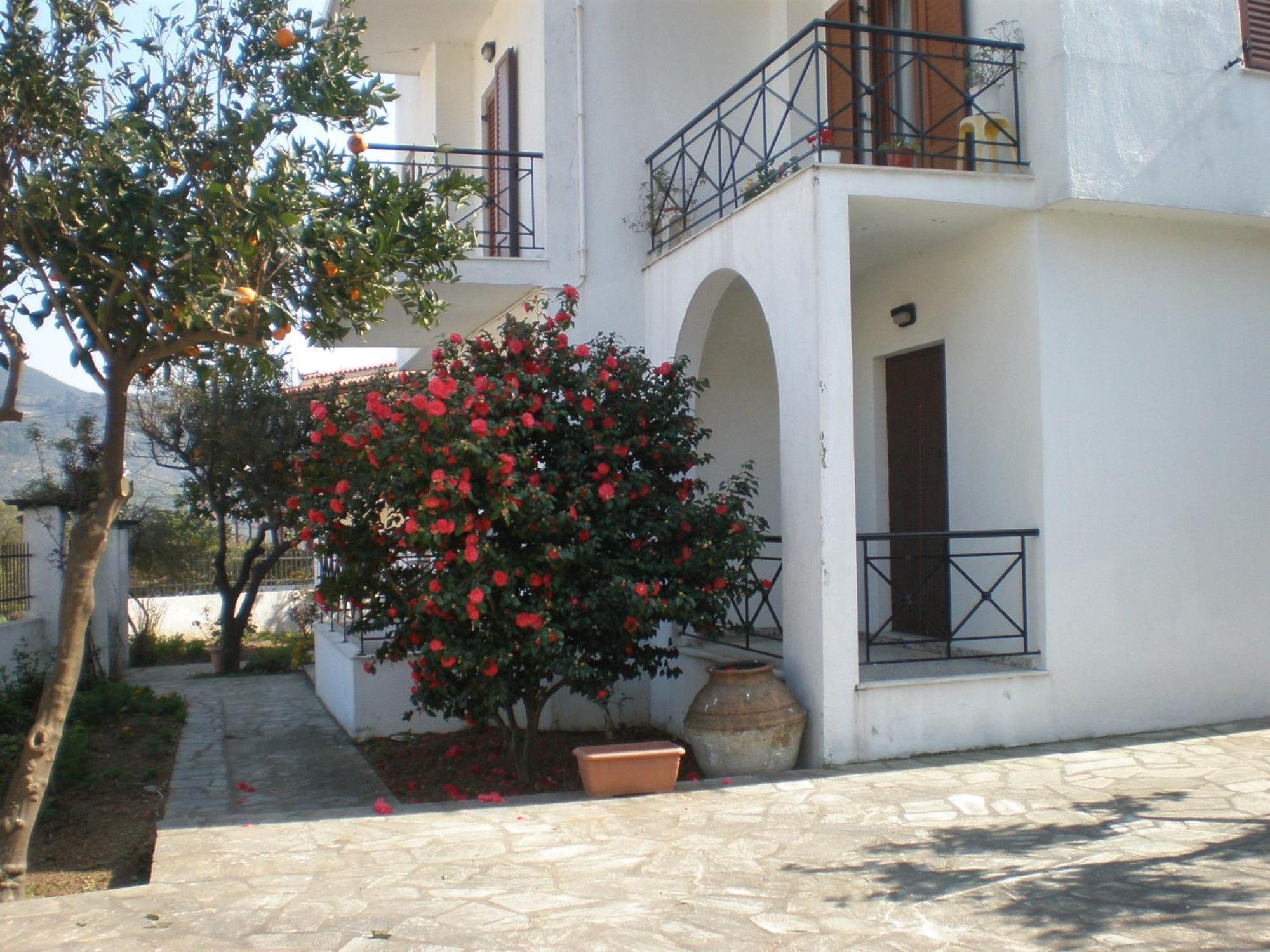 Karagiozos Studios & Apartments Skopelos stad Exteriör bild
