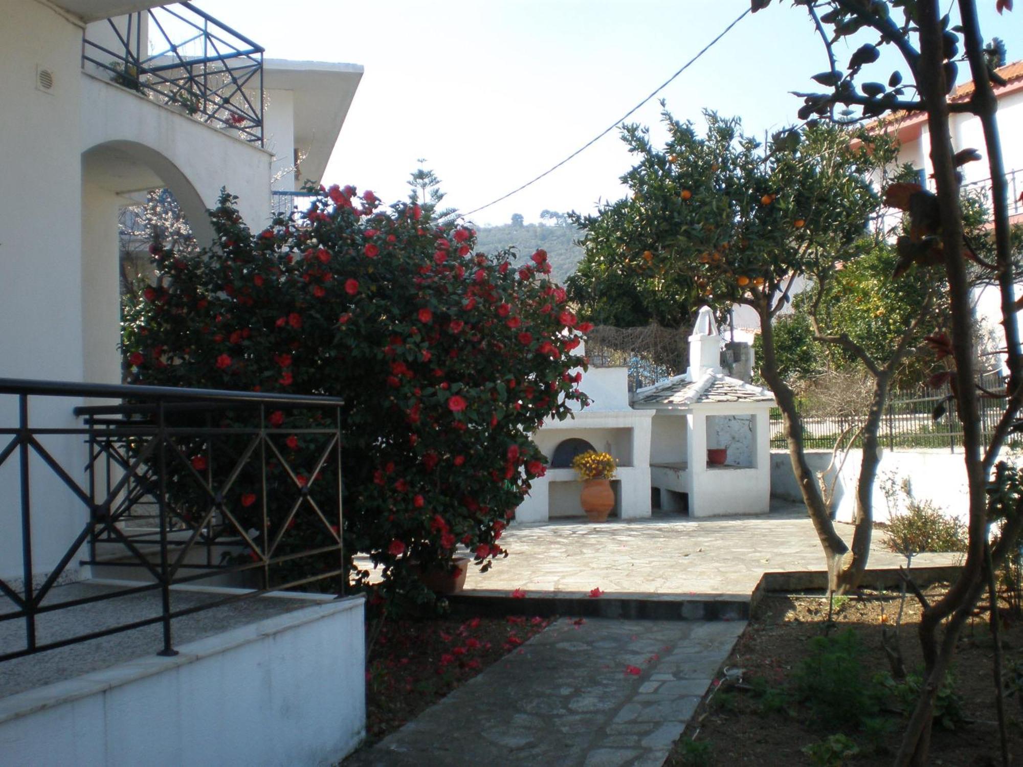 Karagiozos Studios & Apartments Skopelos stad Exteriör bild
